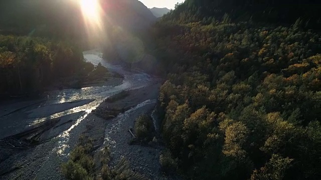 空中漂浮在雄伟的荒野森林在金色的时间照明在秋天的树木视频素材