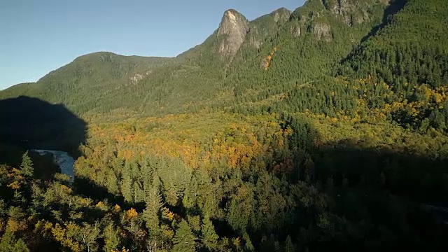 太平洋西北山区空中森林树木的秋天颜色视频素材