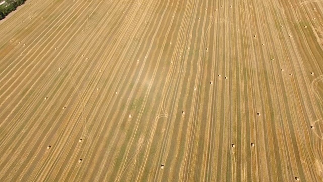 天线:收获后麦田里堆积的干草堆视频素材