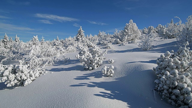 冰雪覆盖的冬季景观，费希特尔堡山，奥伯维森塔尔，埃尔茨格伯奇，Ore山，萨克森，德国，欧洲视频素材