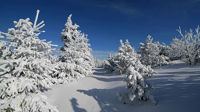 冰雪覆盖的冬季景观，费希特尔堡山，奥伯维森塔尔，埃尔茨格伯奇，Ore山，萨克森，德国，欧洲视频素材