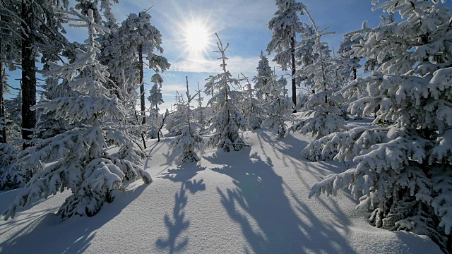 雪覆盖的冬季森林与太阳，费希特尔堡山，奥伯维森塔尔，埃尔茨格伯奇，Ore山，萨克森，德国，欧洲视频素材