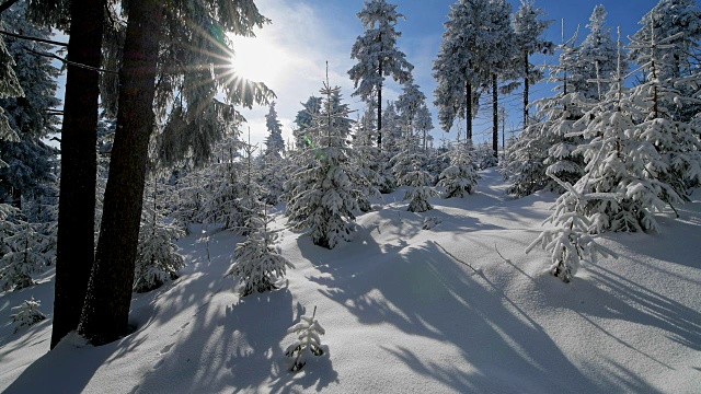 雪覆盖的冬季森林与太阳，费希特尔堡山，奥伯维森塔尔，埃尔茨格伯奇，Ore山，萨克森，德国，欧洲视频素材