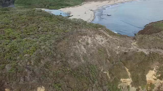 加州大苏尔的太平洋海滩视频素材