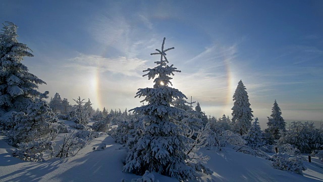 冬天，雪覆盖的针叶树有光晕和太阳，费希特尔堡山，奥伯维森塔尔，埃尔茨格伯奇，Ore山，萨克森，德国，欧洲视频素材