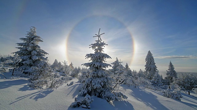 冬天，雪覆盖的针叶树有光晕和太阳，费希特尔堡山，奥伯维森塔尔，埃尔茨格伯奇，Ore山，萨克森，德国，欧洲视频素材