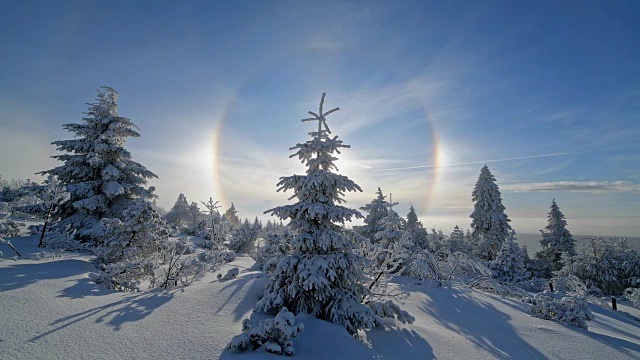 冬天，雪覆盖的针叶树有光晕和太阳，费希特尔堡山，奥伯维森塔尔，埃尔茨格伯奇，Ore山，萨克森，德国，欧洲视频素材