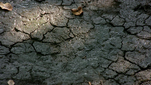 破碎的土地得到水(HD)视频下载