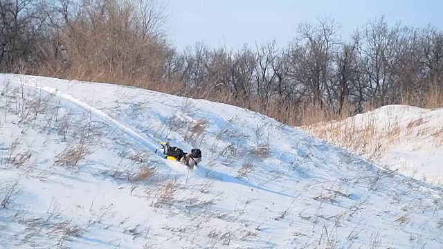 男孩从雪山上滚下来视频素材