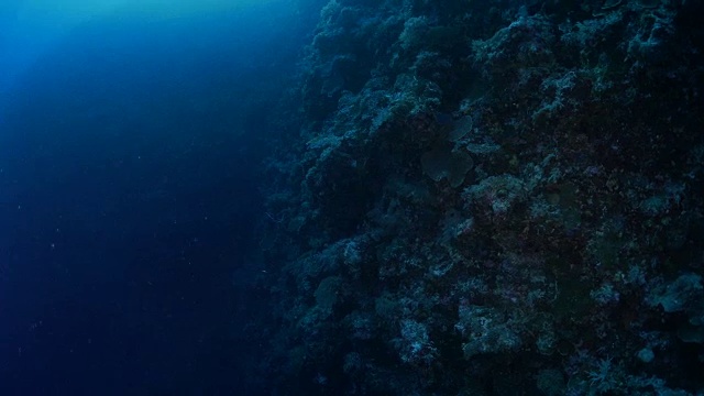 深海暗礁，暗海视频素材