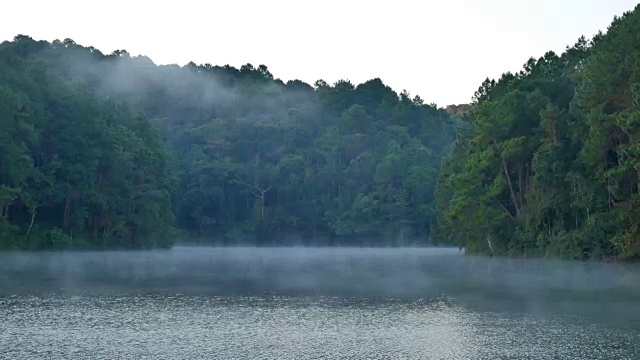 景色宁静的雾漂浮在湖面上与山在早上在庞ung, Mae Hong Son，泰国视频素材