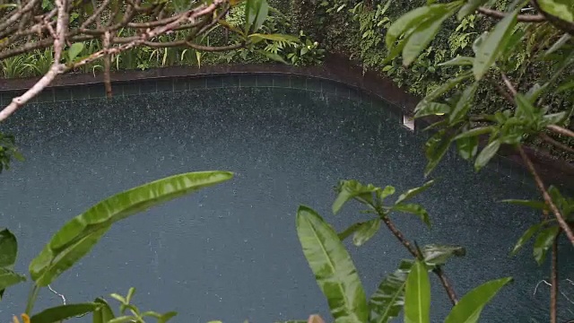 在印度尼西亚，夏日的雨水落在带有热带树木的游泳池上视频素材