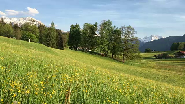 春天，高山和盛开的草地是田园诗般的高山风景视频素材