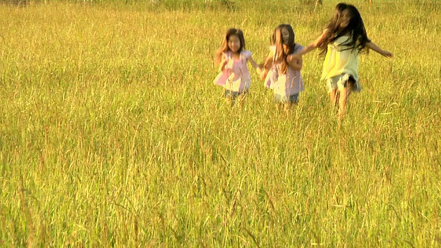 三个小女孩在田野里奔跑视频素材