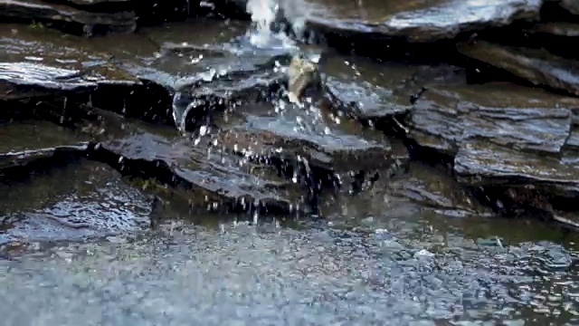 河流流过岩石视频素材