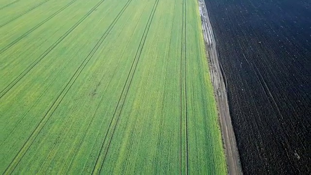 初春空中的田野。视频素材