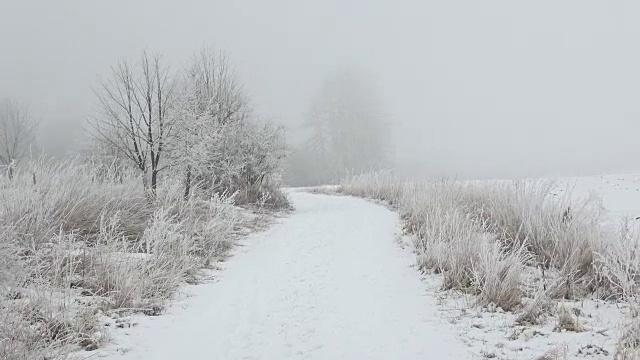 美丽的冬天的风景。风景优美的冬季景观。冬季多雾的景观。视频素材