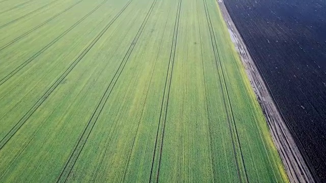 初春空中的田野。视频素材