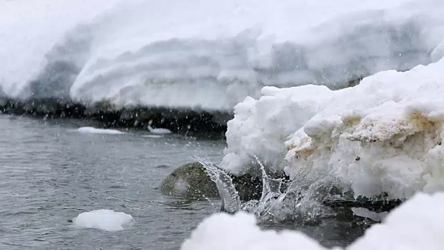 在《Falling Snow》中，巴布亚企鹅跃入海洋视频素材