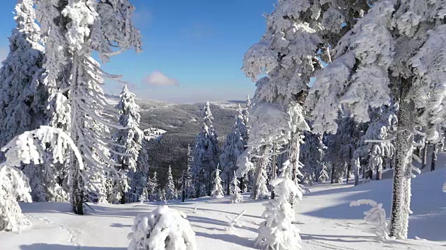 令人惊叹的雪景视频素材