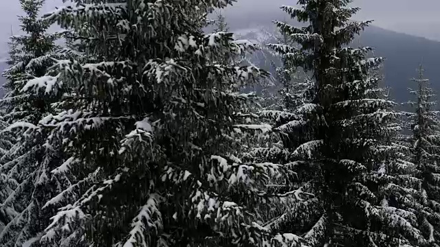 高山森林从滑雪缆车视频素材