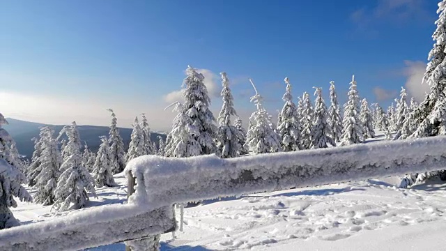 白雪覆盖着栏杆和树木视频素材