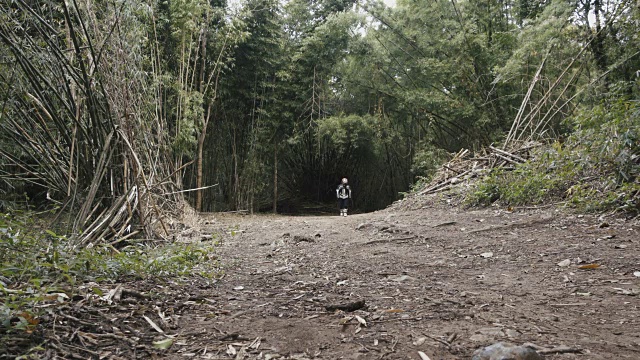 探险旅行的摩托车骑士走在竹林中的路上向他的摩托车走去视频素材