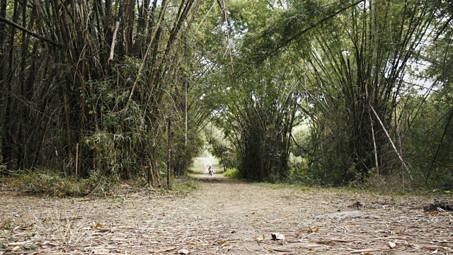 冒险摩托车骑手在竹林里的道路上玩得很开心视频素材