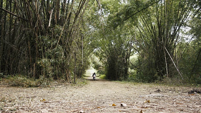 冒险摩托车骑手在竹林里的道路上玩得很开心视频素材