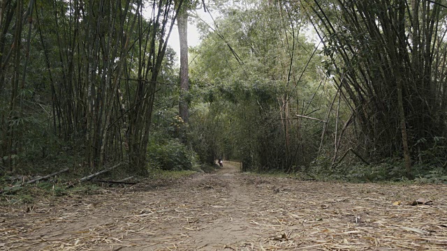 冒险摩托车骑手在竹林里的道路上玩得很开心视频素材