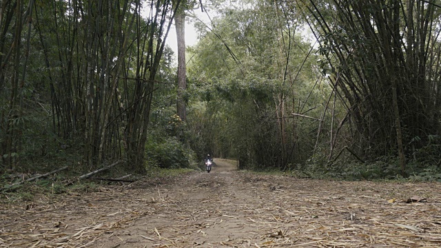 冒险摩托车骑手在竹林里的道路上玩得很开心视频素材