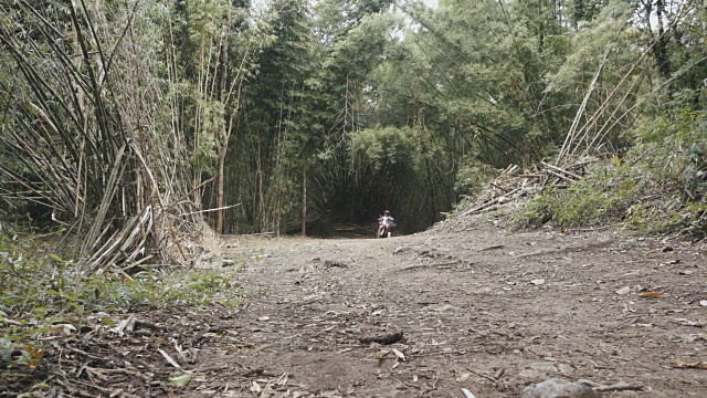 冒险摩托车骑手在竹林里的道路上玩得很开心视频素材