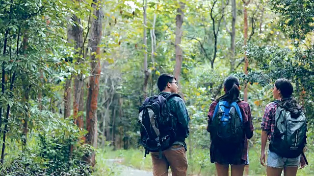 团体背包客在森林中旅行和徒步旅行视频素材