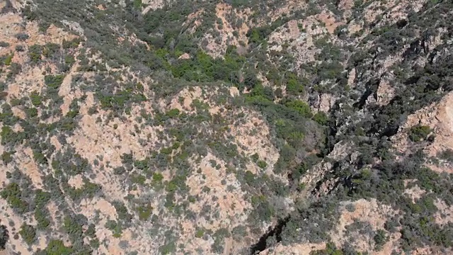 快速低空飞行空中拍摄飞过树和草在圣加布里埃尔山阿尔塔迪纳，帕萨迪纳，加州洛杉矶视频素材