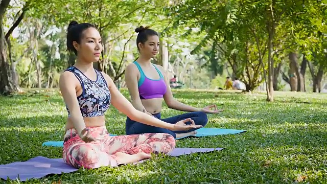 两个年轻女人在早上的公园里做瑜伽视频素材