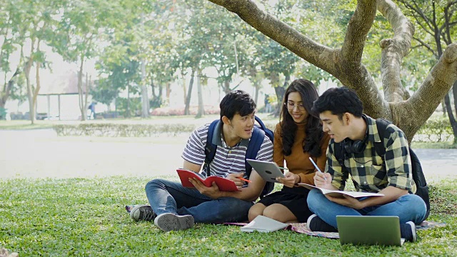 一群年轻的大学生坐在公园外面的草地上看书视频素材