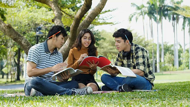 一群年轻的大学生坐在公园外面的草地上看书视频素材