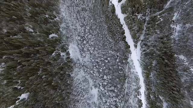 空中的背景。在寒冷的高山森林里，高过冰雪覆盖的树木。视频素材