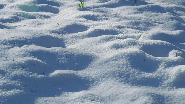 地面上新鲜的冬雪纹理视频素材