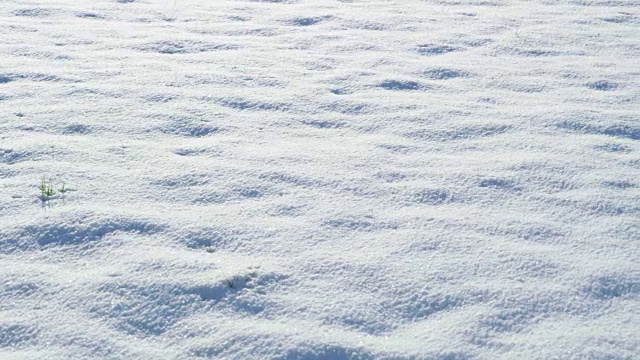 地面上新鲜的冬雪纹理视频素材