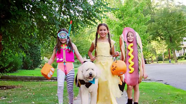 孩子和狗在万圣节的服装为Trick Or Treating视频素材