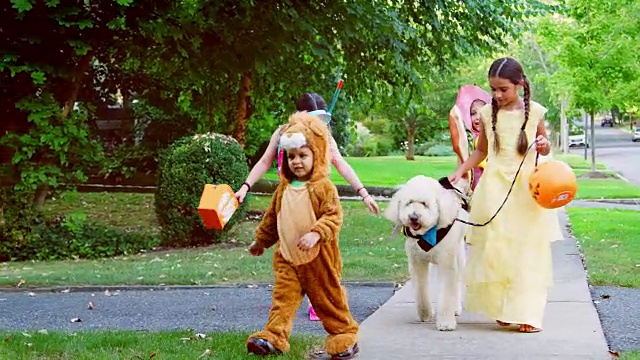 孩子和狗在万圣节的服装为Trick Or Treating视频素材