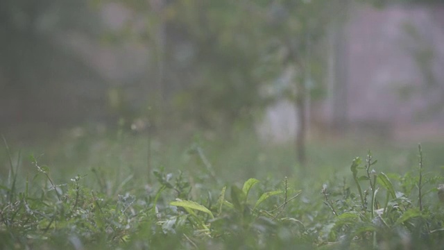 暴雨视频素材