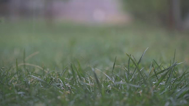 大雨视频素材