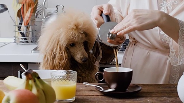 女性用手把热茶从茶壶里倒进了茶杯里。视频素材