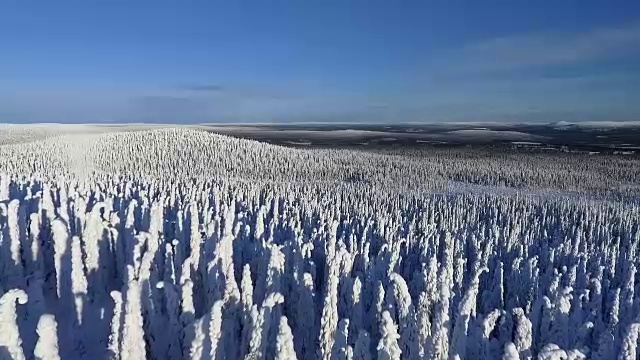 芬兰拉普兰航空镜头-大雪森林视频素材