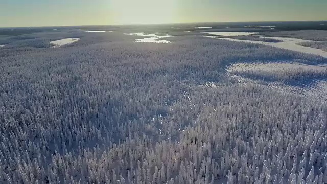 芬兰拉普兰航空镜头-大雪森林视频素材