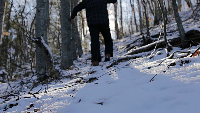 踏在山上的雪里。迷失在森林里视频素材