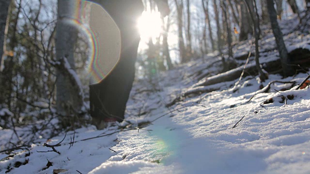 踏在山上的雪里。迷失在森林里视频素材