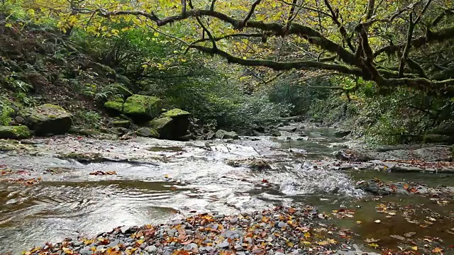 别祖明卡河峡谷，俄罗斯索契视频素材